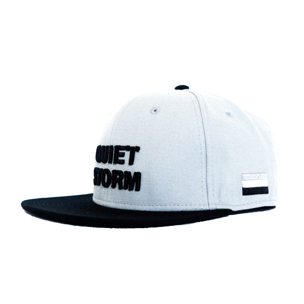 Stencil Logo Snapback (Gray)
