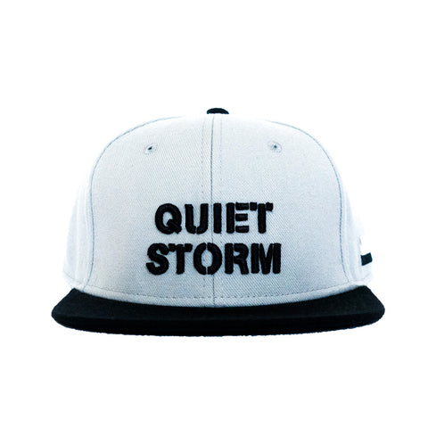 Stencil Logo Snapback (Gray)